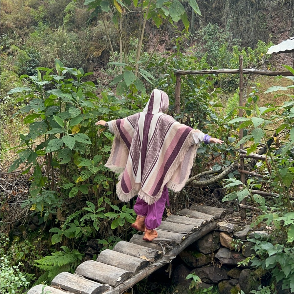 Peruvian Baby Alpaca Pink Purple Fringe Geometric Striped Shamanic Hooded Poncho